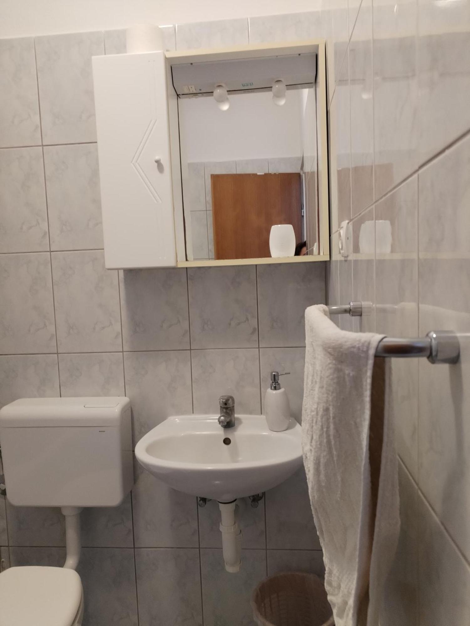 Hiša za goste Boarding House Vide Bogomolje