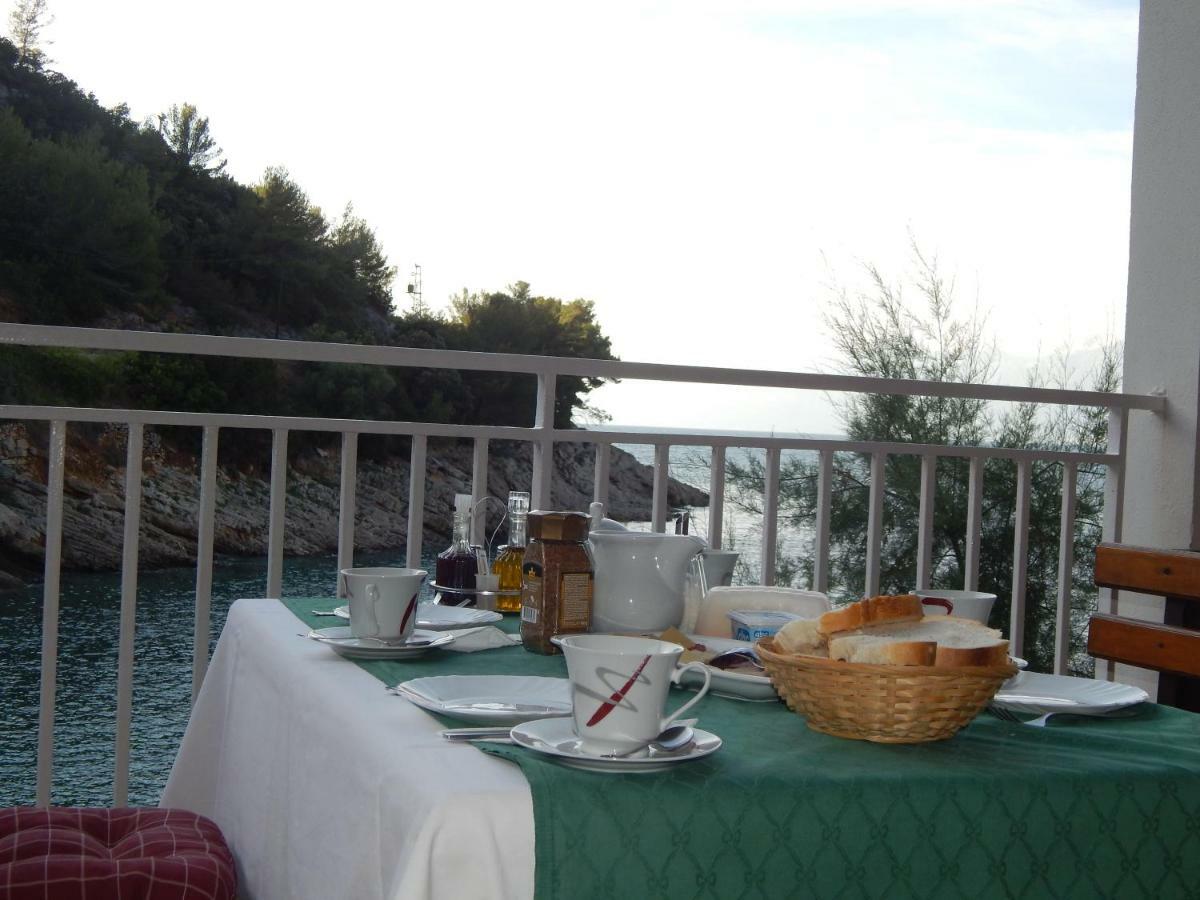 Hiša za goste Boarding House Vide